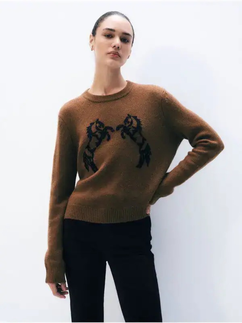 NWT White + Warren Cashmere Wool Horse Embroidered Crewneck Sweater Umber Sz M - Picture 3 of 13